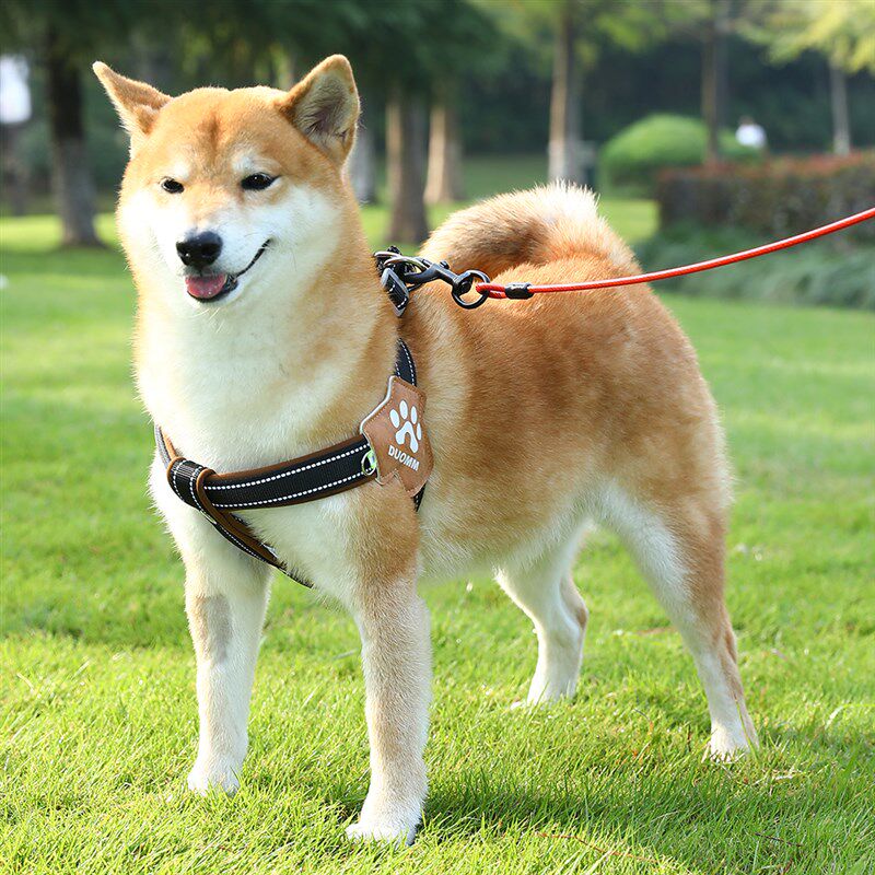 狗狗牵引绳柴犬柯基中小型犬可调节反光狗绳狗链新款胸背带背心式
