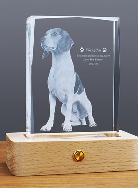 宠物爪印纪念水晶客制化3D内雕宠物照片创意礼物简约风摆件
