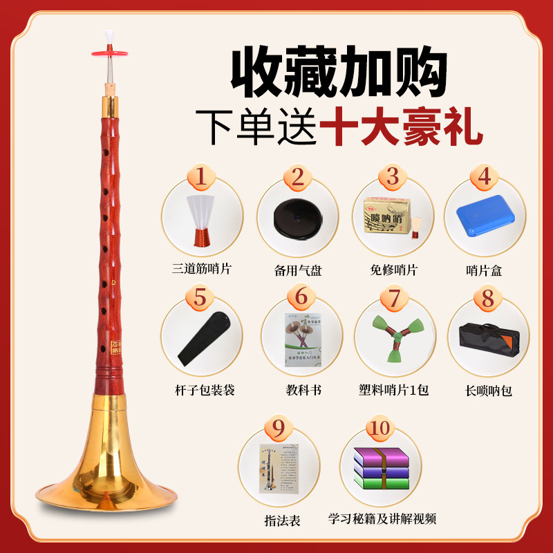 王家彪红檀木唢呐乐器初学者D调降B调全套专业喇叭大小演奏型精品