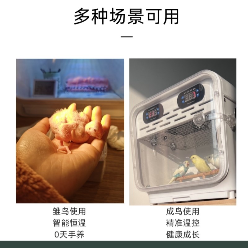 鹦鹉保温箱雏鸟过冬专用风暖恒温箱幼鸟加热保暖手养鸟用玄风育雏