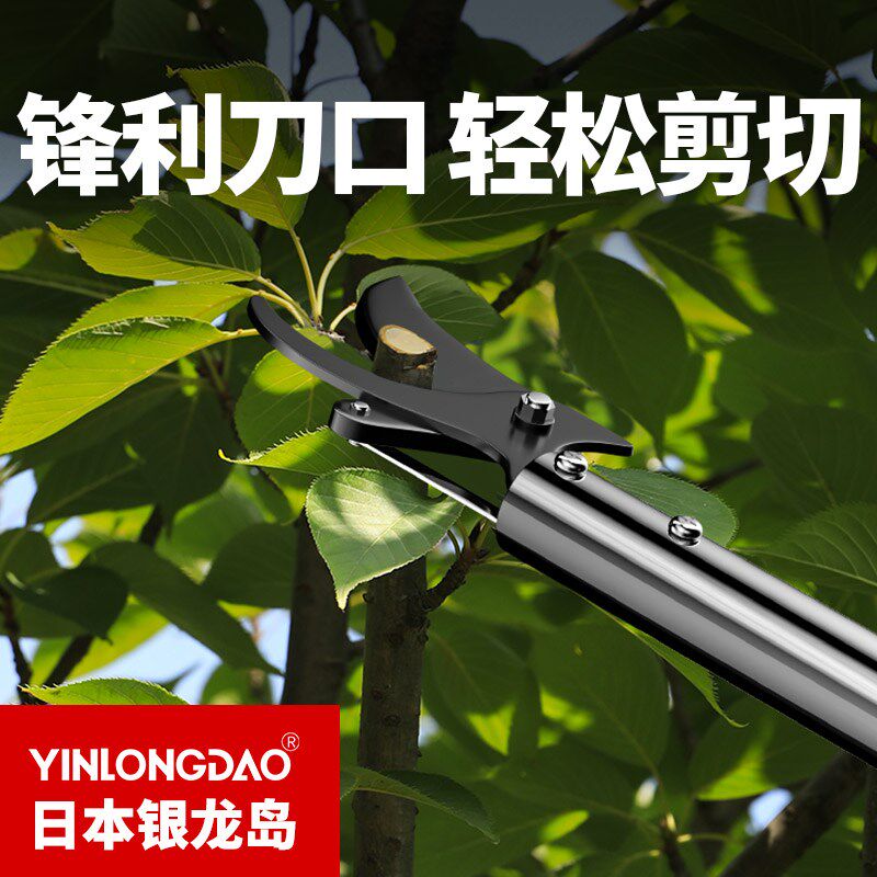 高枝剪修剪树枝专用剪刀伸缩加长杆园艺果树高空剪枝长柄摘果神器