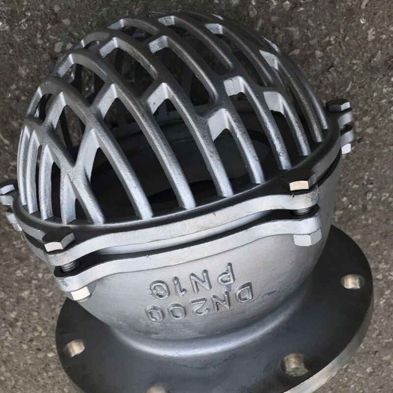 304不锈钢丝扣法兰底阀H12W-6PPN10水泵吸水止回阀升降式底阀H42W