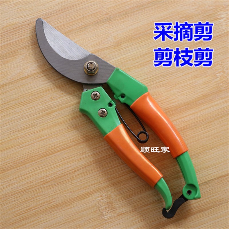 包邮剪枝剪修枝剪刀园艺整枝树枝花木剪刀葡萄果树园林剪手动工具