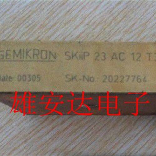 SKIIP23AC128T48 SKIIP25AC128T47 SKIIP23AC12T3