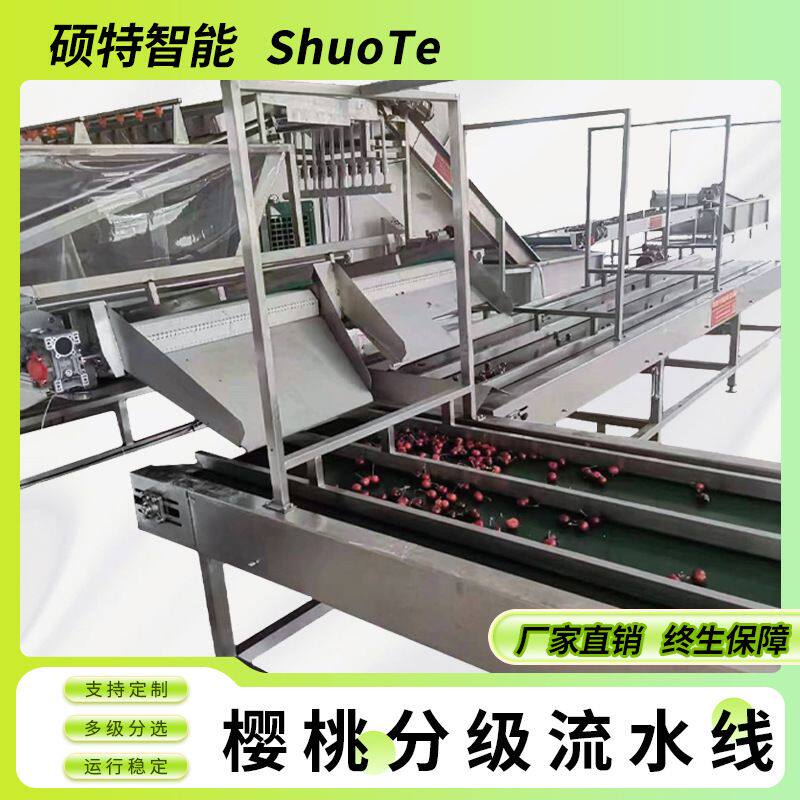 百香果分拣机价格 水果分选机樱桃分级机车厘子直径分拣机厂家