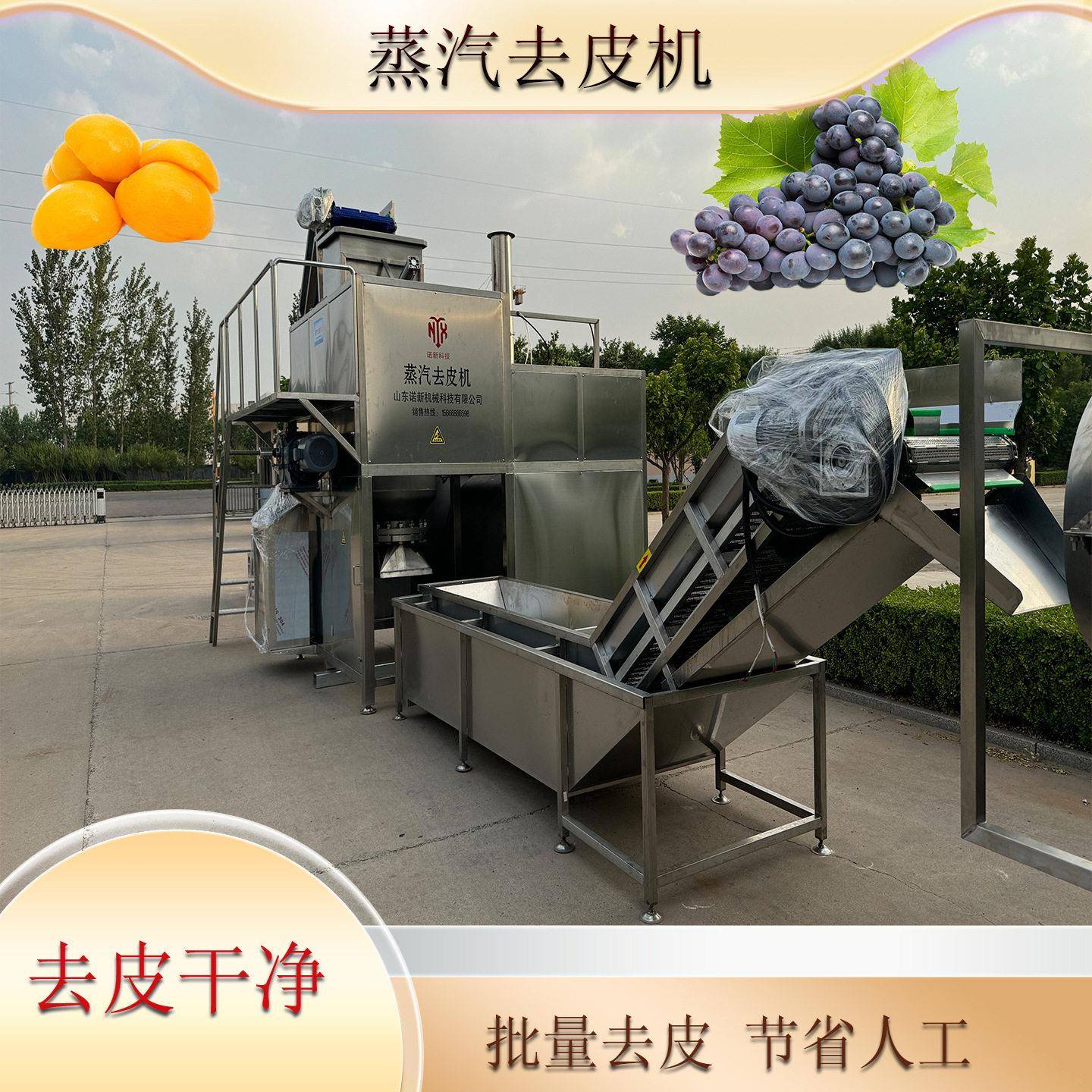诺新科技果蔬蒸汽去皮机 黄桃葡萄去皮设备 削皮机