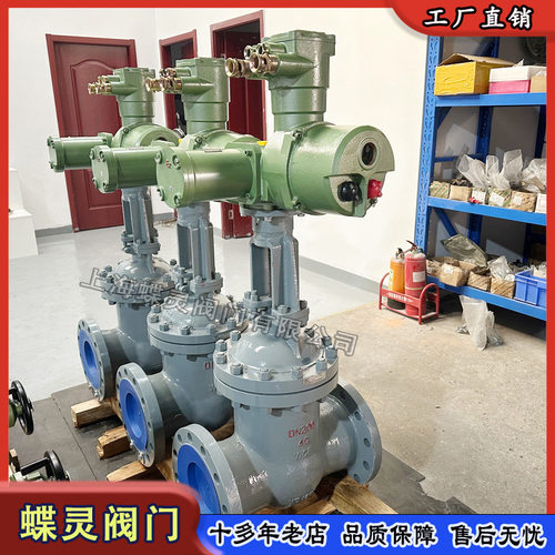 ZB30-24隔爆型阀门电动装置 矿用防爆电动闸阀MZ941H-64C DN200
