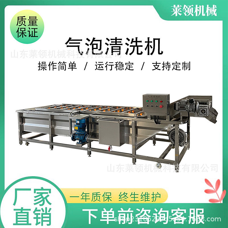 酱菜清洗成套设备鼓泡式蔬菜清洗设备杨桃水蜜桃杨梅蓝莓清洗机器