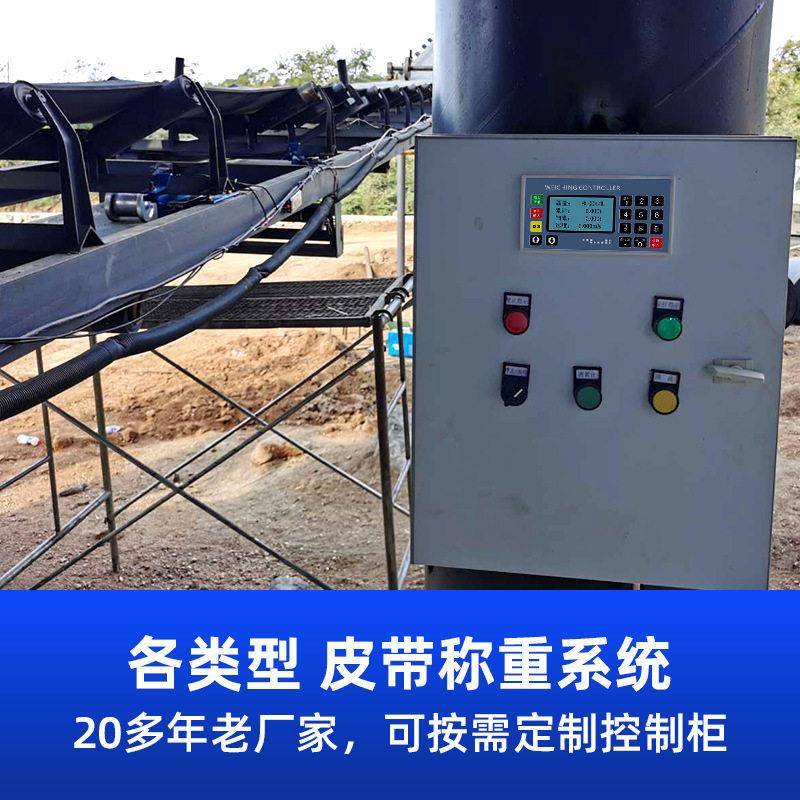 配电子皮带称PDC60000重计价秤仪表螺旋料控制器蛟龙计量秤称系传
