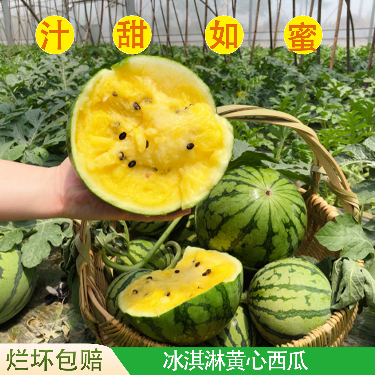 小兰西瓜  特小凤西瓜新鲜采摘黄瓤有籽冰淇淋西瓜薄皮脆甜孕妇