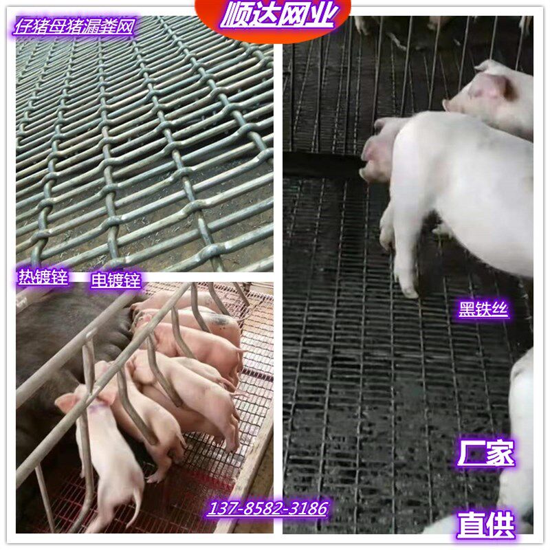 养猪网羊猪用漏粪网狗笼地垫底母猪产牀钢筋网热浸镀锌养殖钢丝网