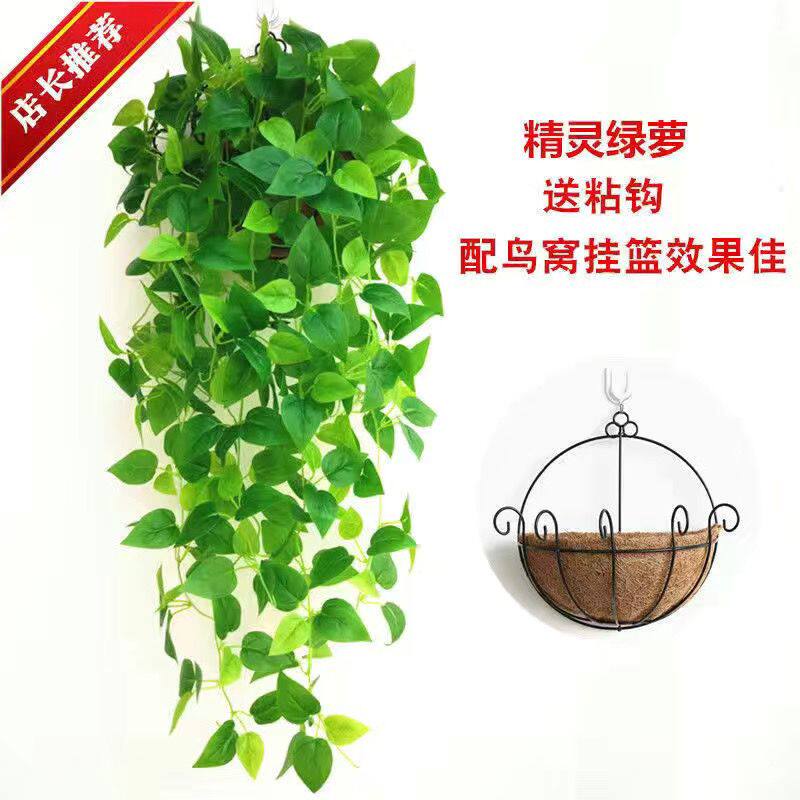 饭厅墙面黄金葛藤装饰品壁挂仿真植物吊篮奶茶铺墙壁上遮挡瑕疵挂