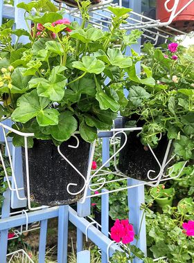 简约栏杆盆栽悬挂式铁艺壁挂花架圆形护栏多肉铁架花蓝阳台绿萝架