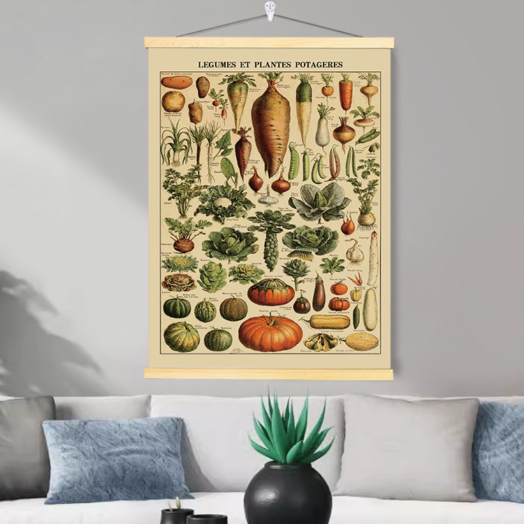 早教科普复古美式蝴蝶植物挂画