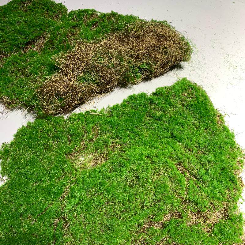 仿真苔藓草皮青苔草皮植绒摆件软装造景假山草皮草坪苔藓块假苔藓
