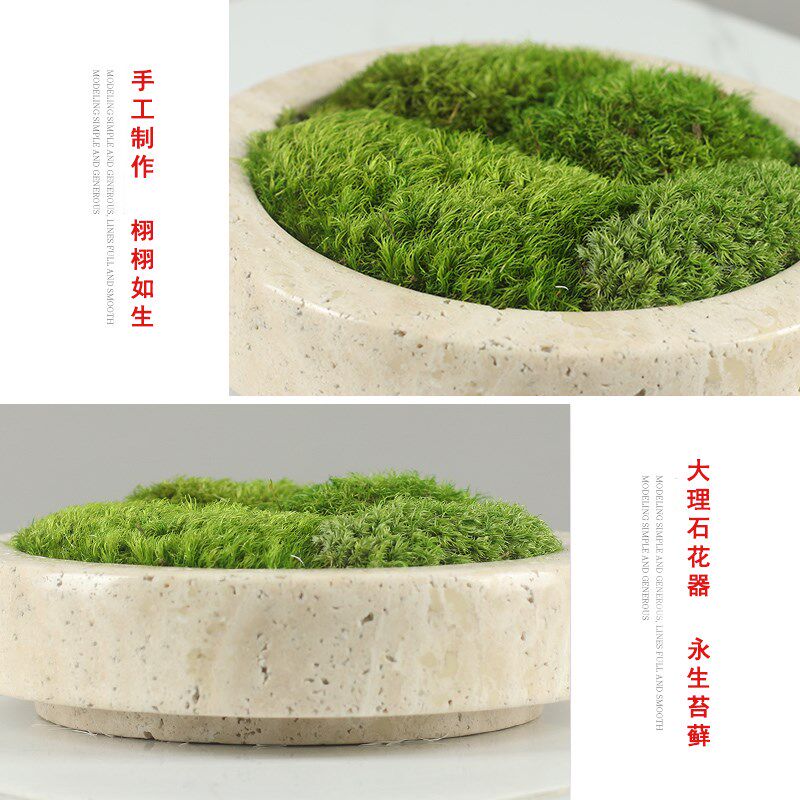 中式日式简约轻奢永生仿真苔藓干花绿植微景观盆景洽谈桌餐桌摆件