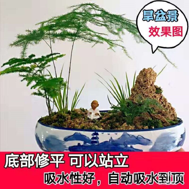 吸水石原石上水石天然假山奇石头盆景化石河滩植物麦管石水秀石毛