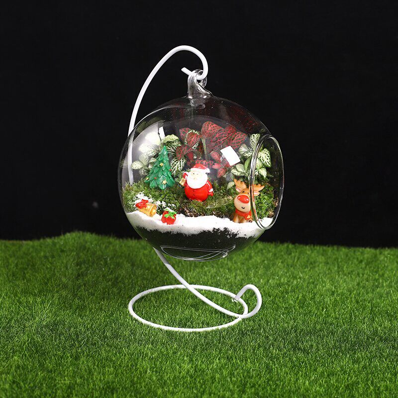 圣诞装饰苔藓微景观DIY材料包植物小盆栽桌面玻璃瓶可爱摆件套装