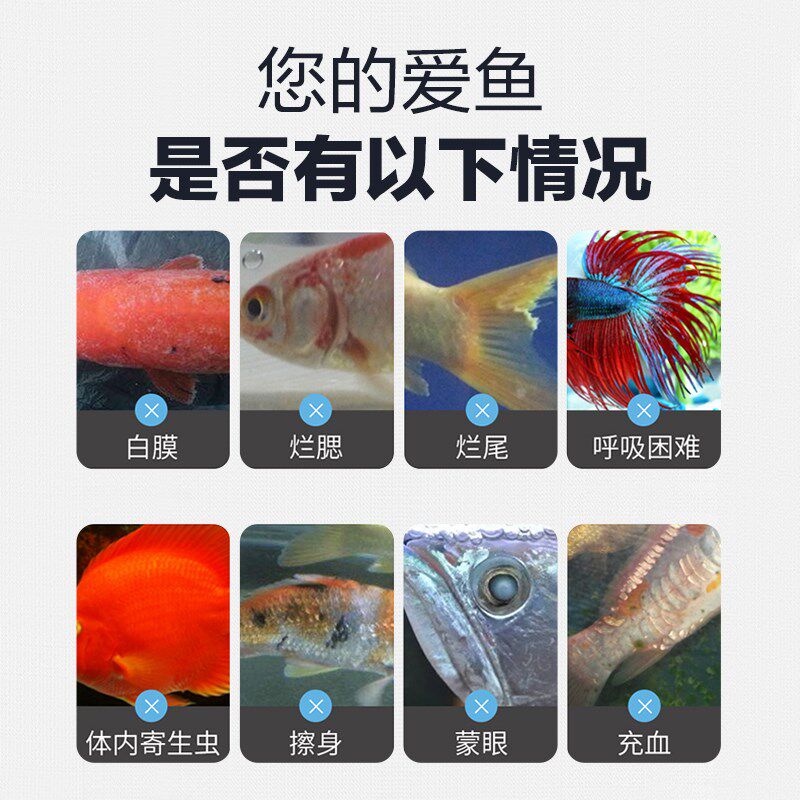 锦鲤专用烂身烂尾烂肉掉鳞白点水族综合鱼缸水质调理剂液