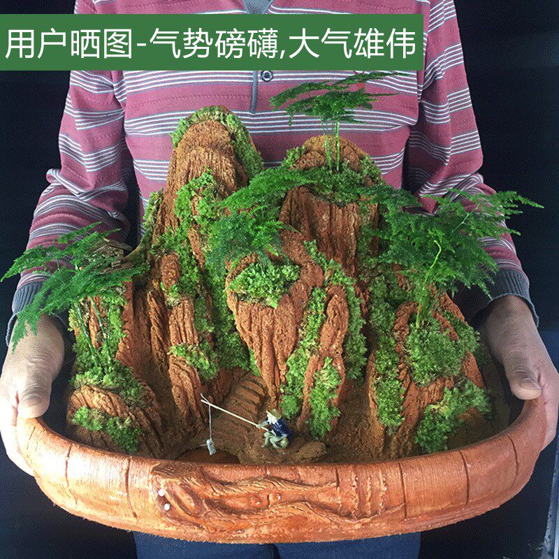 假山流水喷泉摆件吸水奇石头桌面盆景天然原植物办公室小鱼池造景