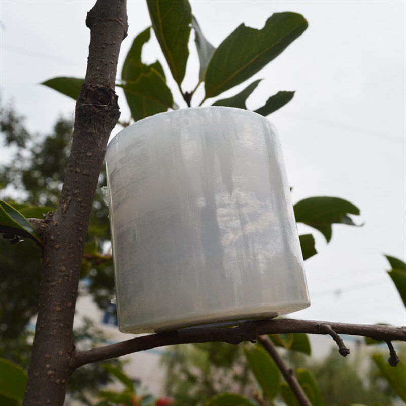 佳盛塑料果树嫁接膜自粘型无需打结薄膜包装膜绑带缠绕膜专用膜