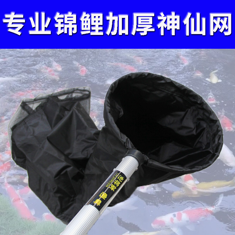 锦鲤专业神仙网捞龙鱼专用加厚鱼场池塘卖鱼挑鱼防刮半透水神仙网