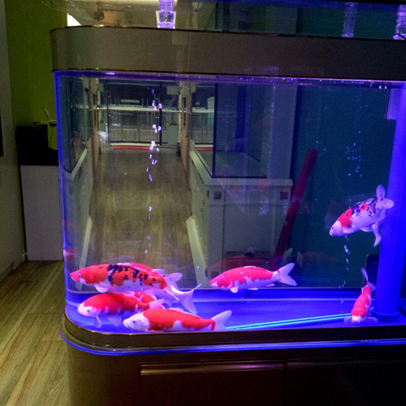 锦鲤增艳专用灯鱼缸潜水日光灯台湾芯片LED鹦鹉蝴蝶鲤鱼红水不红