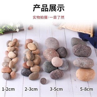 广东河卵石变压器漏油用河滩石事故油池鹅卵石滤料变电站用河卵石