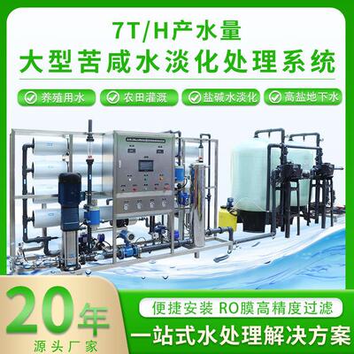 海水苦咸水净化脱盐除垢轮船淡化大型原水处理设备反渗透