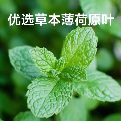 猫薄荷饼干猫草零食猫咪磨牙洁齿排毛球互动奖励酥脆猫零食