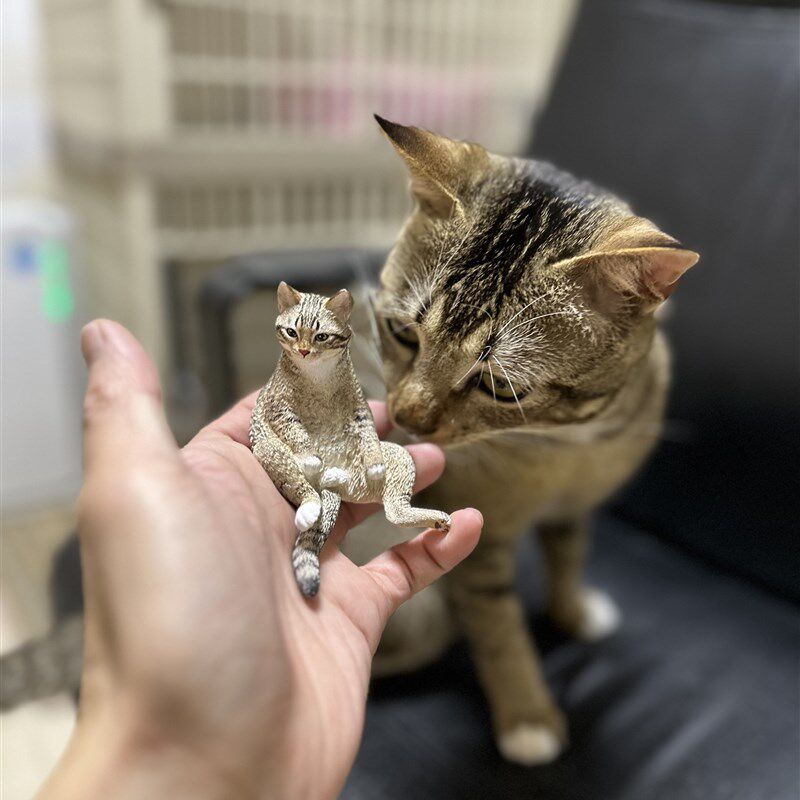 定制猫咪可爱车载室内香薰摆件礼物宠物纪念英短美短布偶加菲橘猫