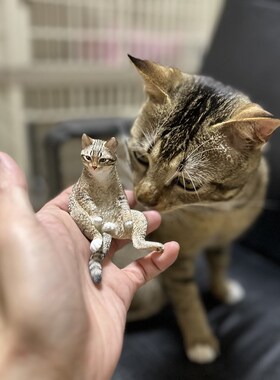 定制猫咪可爱车载室内香薰摆件礼物宠物纪念英短美短布偶加菲橘猫