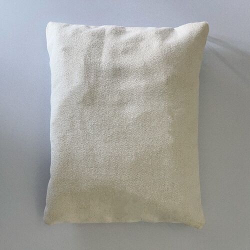 二甲子盐敷包熨斗子1500g