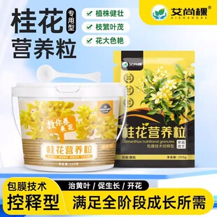 四季室外桂花树专用肥营养液金桂盆栽植物四季通用地栽枯叶干尖