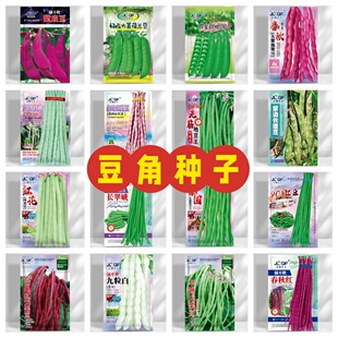 庭院正宗高产适合春天种的各种豆角新型高罕见端品种蔬菜种子大全
