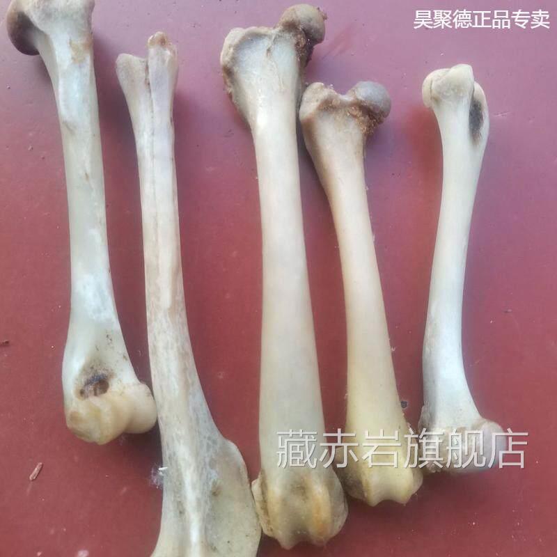 中药材生狗骨头 狗骨头 用狗骨 狗骨头正品狗骨500克1000克药包邮