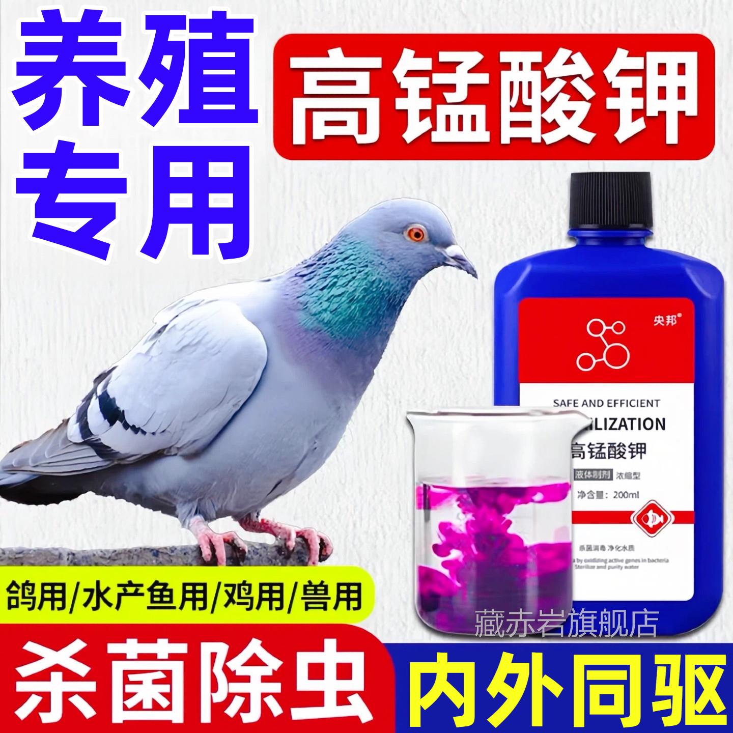 高酸钾鸽子洗澡驱虫药鸟锰用兽用消毒杀菌除体外寄生虫羽虱专用药