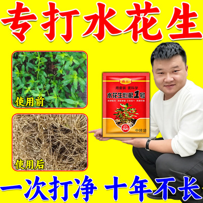 水花生专用清丛渗透剂杂草一扫光革命草空心莲子阔叶草强力根除液