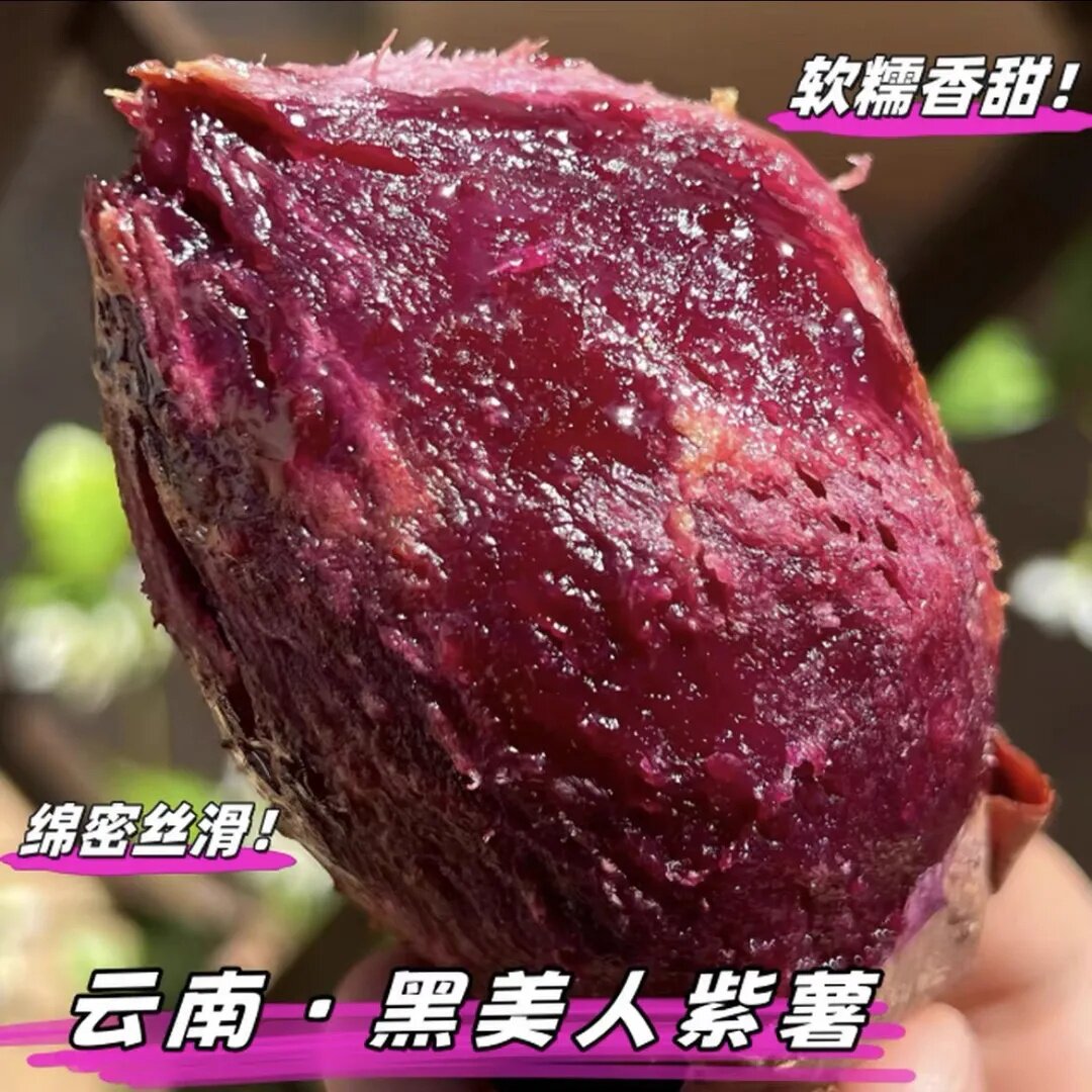黑美人紫薯云南高山溏心紫薯糯叽叽甜蜜蜜不干噎