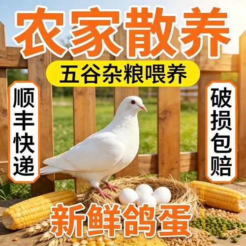 顺丰包邮) 沂蒙山新鲜鸽子蛋30枚信鸽蛋纯粮散养鸽蛋孕妇宝宝辅食