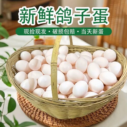 顺丰包邮) 沂蒙山新鲜鸽子蛋30枚信鸽蛋纯粮散养鸽蛋孕妇宝宝辅食