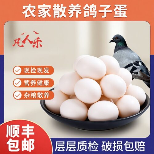 【顺丰包邮 现捡现发】宝宝辅食/孕妇营养,五谷鸽子蛋正宗鸽子蛋