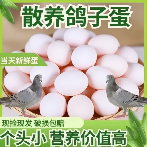 【顺丰包邮】新鲜鸽子蛋农家散养五谷杂粮喂养孕妇宝宝营养辅食