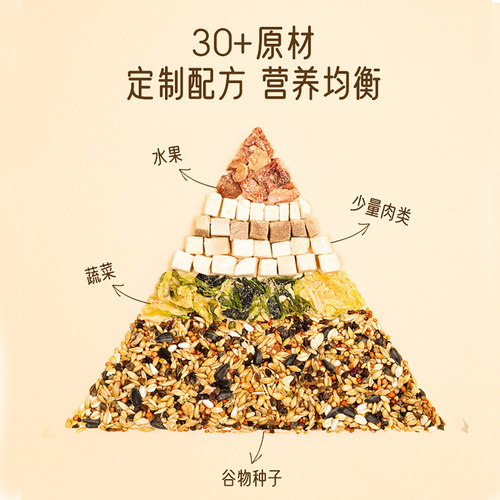 花枝鼠主粮全龄阶段专用粮食零食饲料用品大白鼠吃的食物营养美毛