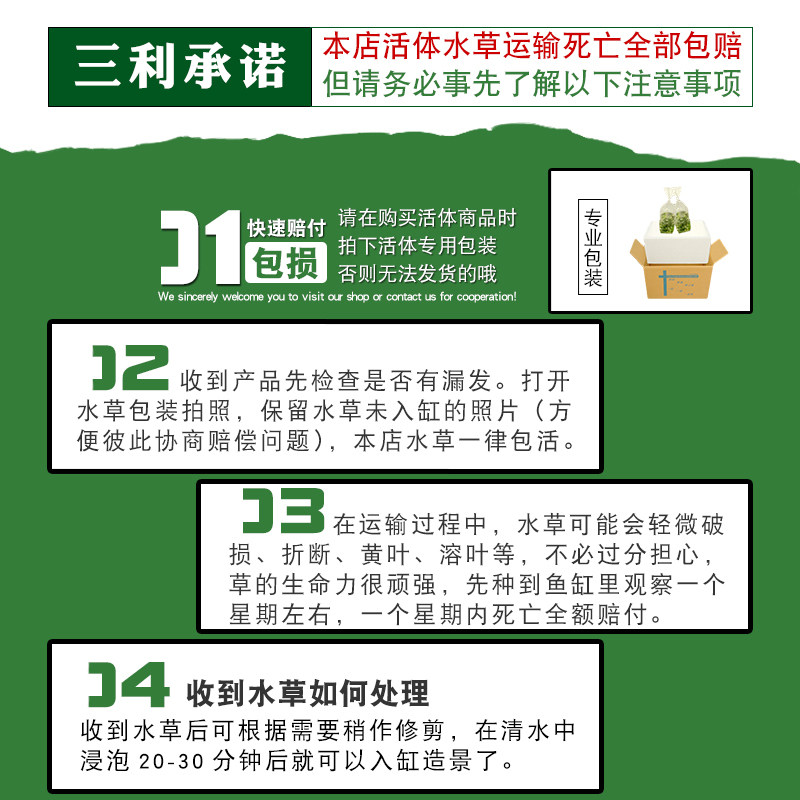 自制莫斯树活体水草造景套餐杜鹃根木散装大三角莫斯水草淡水植物