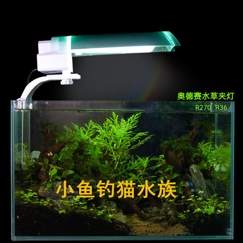美国奥德赛PL夹灯ODYSSEA 27W 36W 55WPL水草灯 海水藻缸灯屏藻灯