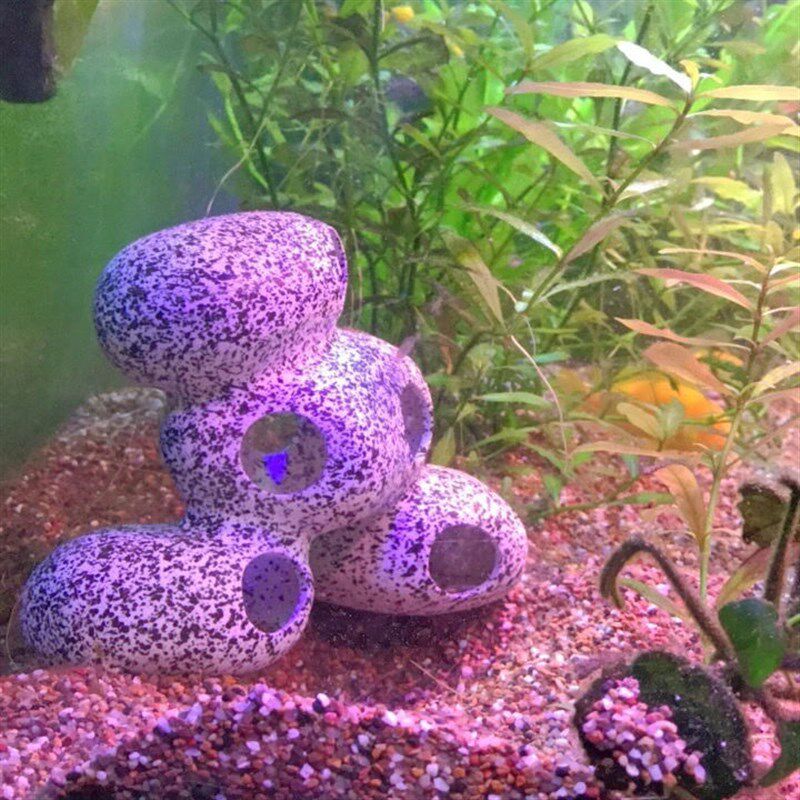 鱼虾屋繁殖罐慈鲷石头短鲷躲避屋仿真陶罐鱼缸造景三湖水族石景