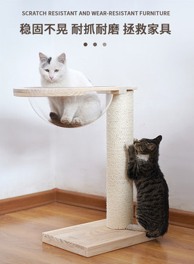 小型猫爬架带太空舱猫架猫窝猫树一体剑麻猫抓柱子猫跳台猫咪用品