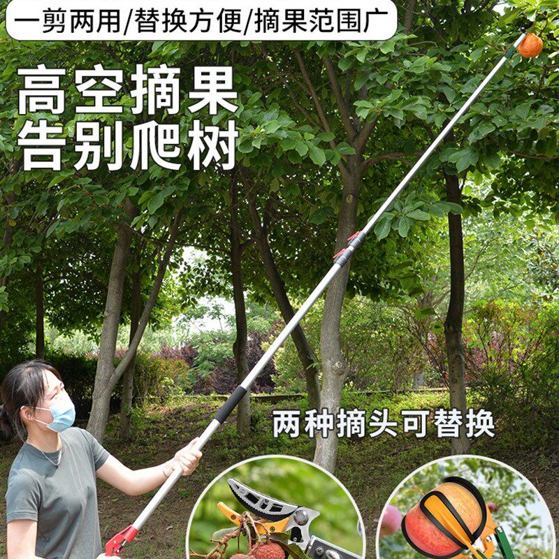 摘果神器修枝剪伸缩高空摘水果剪刀加长采摘器荔枝枇杷龙眼高枝剪