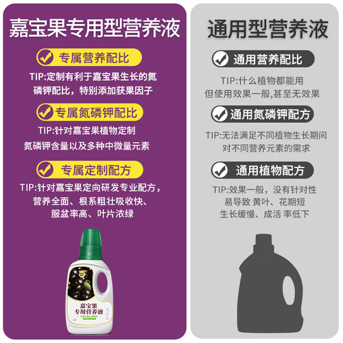 嘉宝果营养液嘉宝果专用肥料四季通用加宝果有机肥保花保果树肥